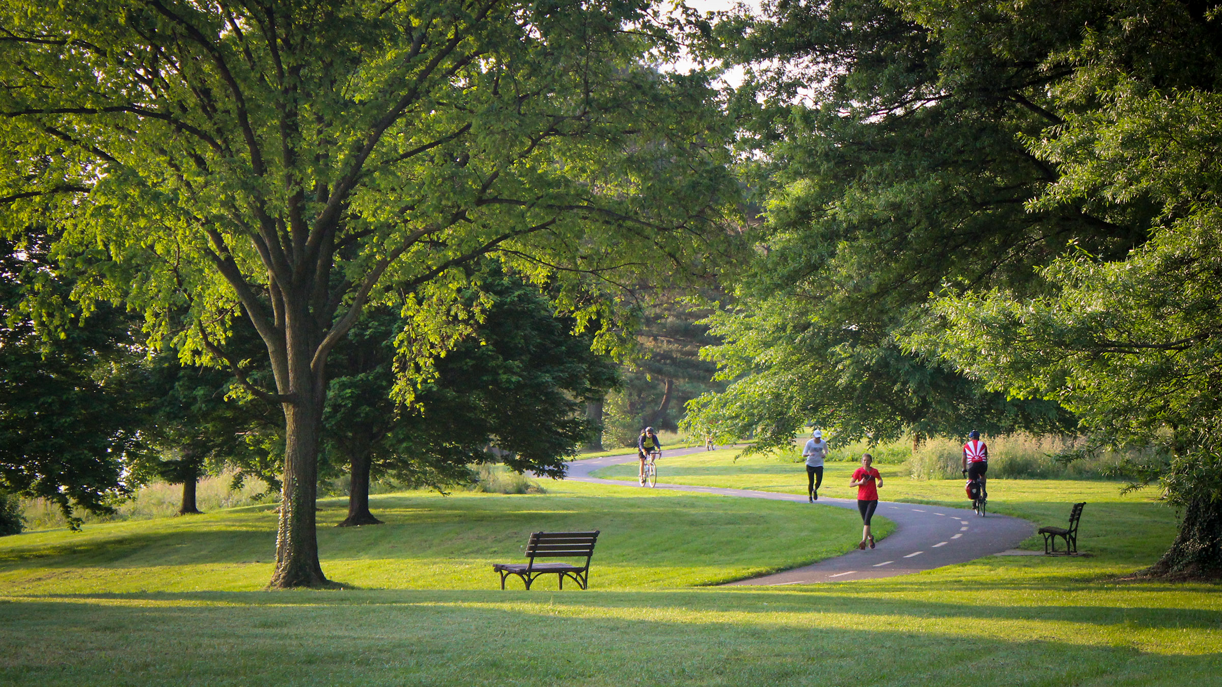 Tree-lined trail with people bicycling and jogging