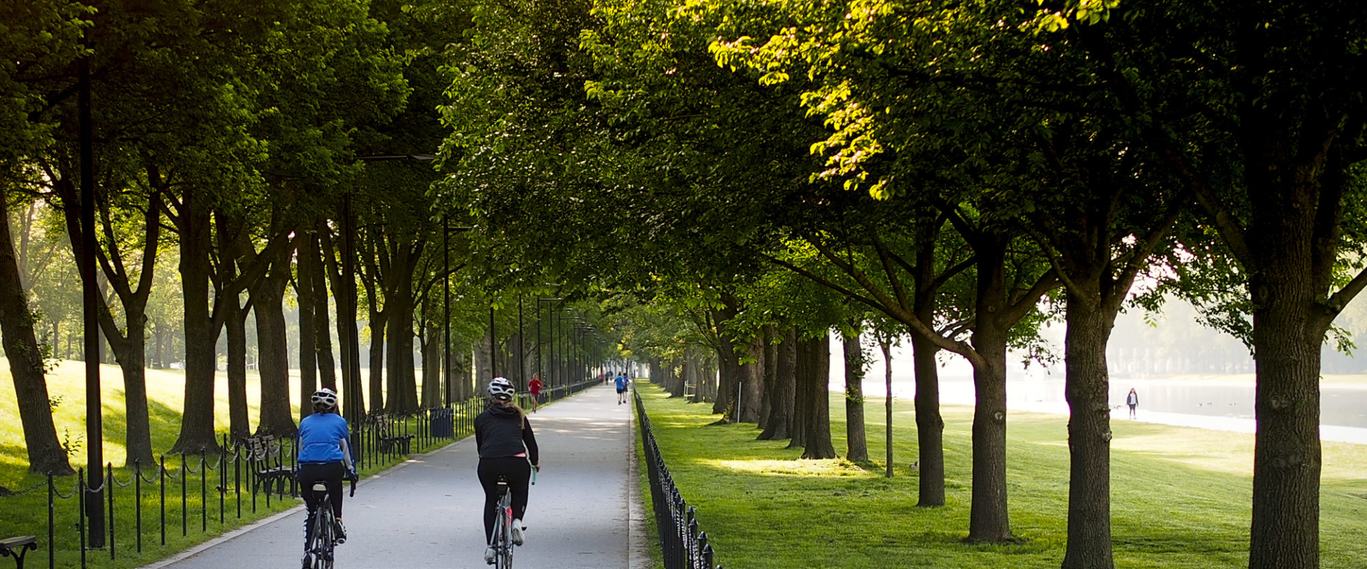 BTWD 2016 MVT and Nat Mall10