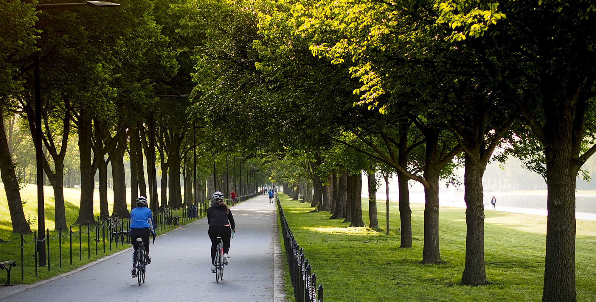 BTWD 2016 MVT and Nat Mall10