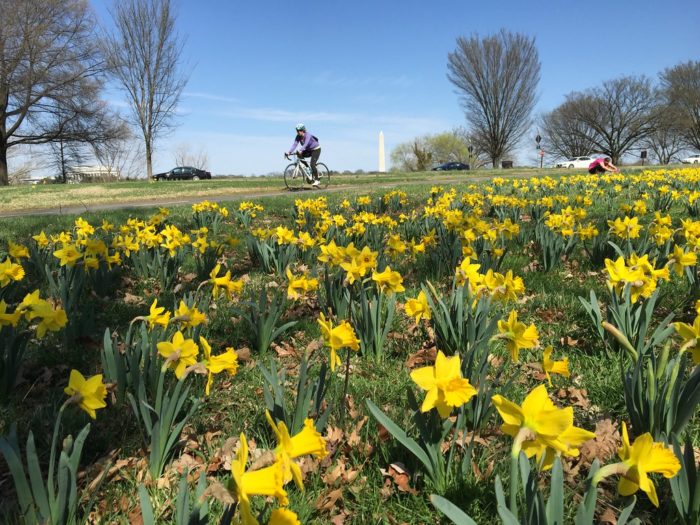 Mount Vernon Trail in Spring